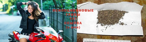 бутират Алзамай