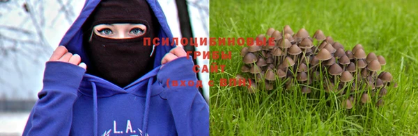 МДМА Алексеевка