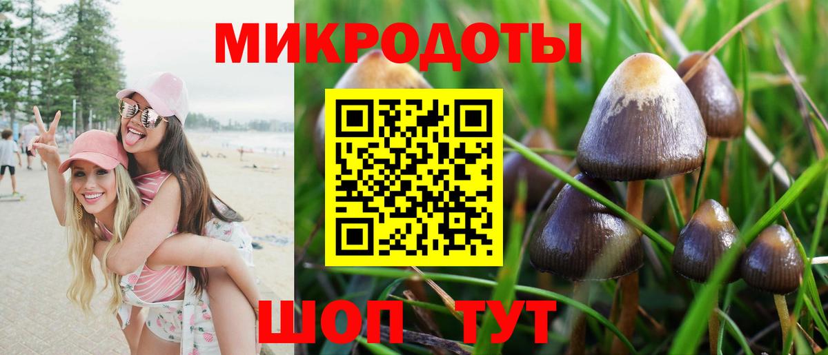 Слободской  Галлюциногенные грибы Psilocybine cubensis  Вход с VPN 